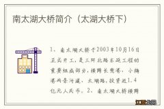 太湖大桥下 南太湖大桥简介