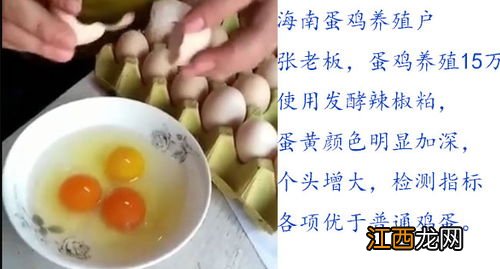 辣椒粕在饲料中用量