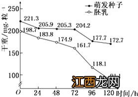 TK601玉米种子特种特性