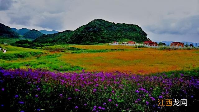 它被誉为“中国凉都”，夏天平均温度20度，真正的“蜜雪冰城”