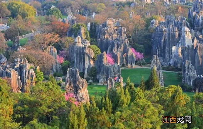 四季如春，云南之旅，云南都有哪些好玩的地方？