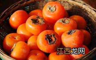 柿子什么季节熟