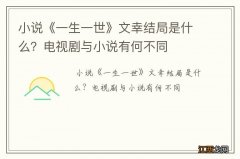 小说《一生一世》文幸结局是什么？电视剧与小说有何不同