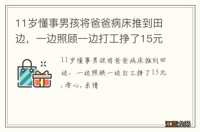 11岁懂事男孩将爸爸病床推到田边，一边照顾一边打工挣了15元