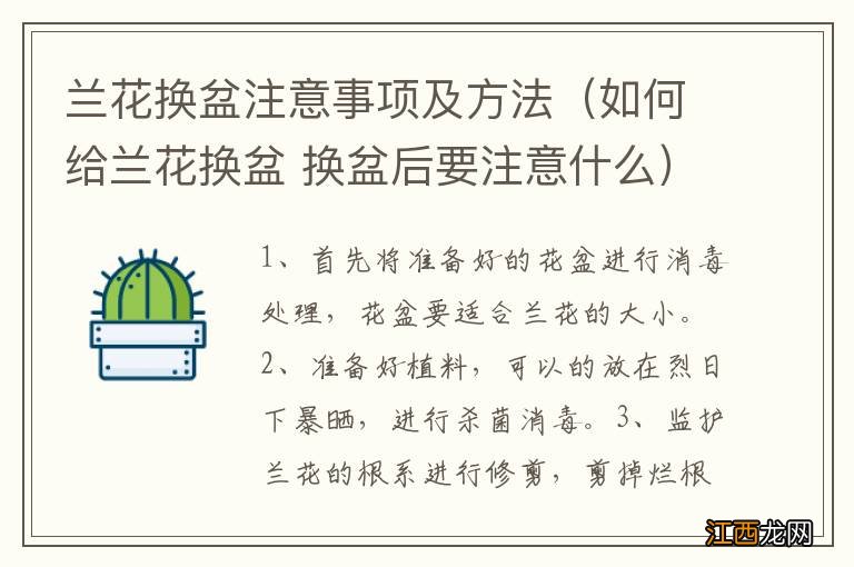 如何给兰花换盆 换盆后要注意什么 兰花换盆注意事项及方法