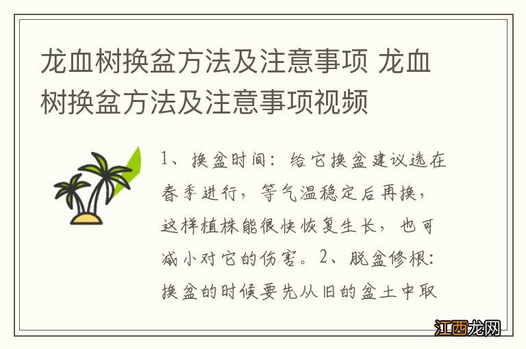 龙血树换盆方法及注意事项 龙血树换盆方法及注意事项视频