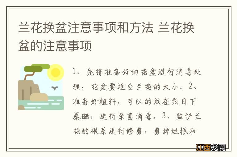 兰花换盆注意事项和方法 兰花换盆的注意事项