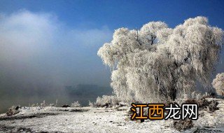 大雪纷飞的诗句 大雪纷飞的诗句列述