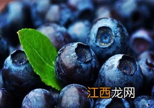 蓝莓被称为水果中的什么