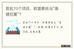 首批70个项目，欧盟要抢当“基建狂魔”？