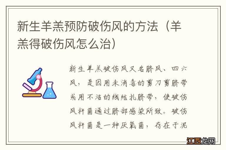 羊羔得破伤风怎么治 新生羊羔预防破伤风的方法