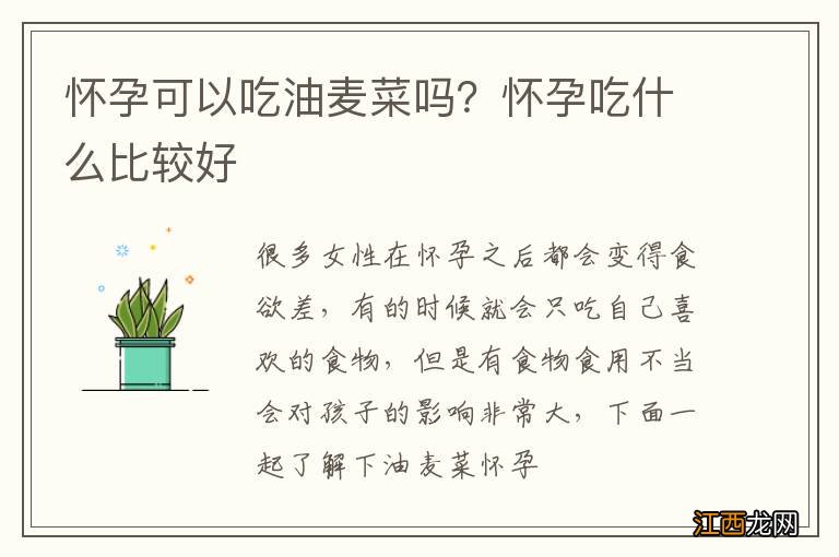 怀孕可以吃油麦菜吗？怀孕吃什么比较好