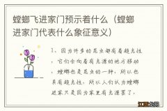 螳螂进家门代表什么象征意义 螳螂飞进家门预示着什么