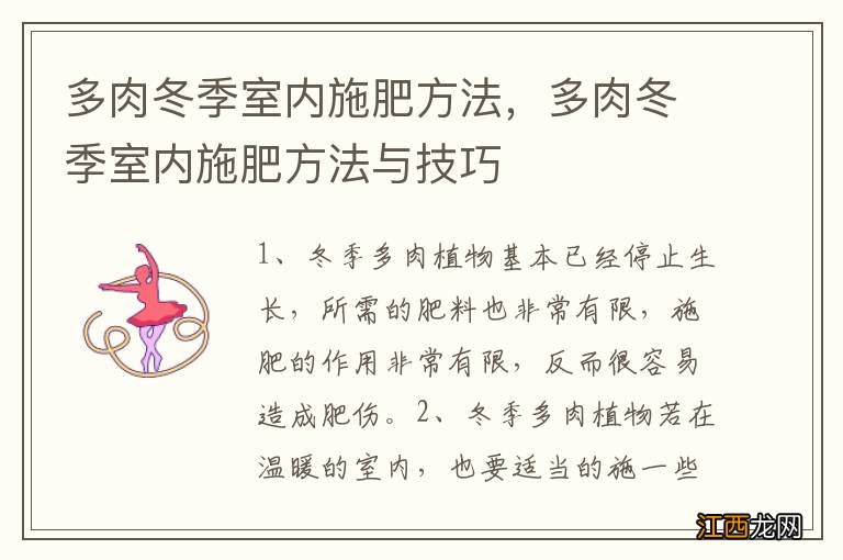 多肉冬季室内施肥方法，多肉冬季室内施肥方法与技巧