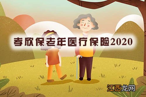 孝欣保老年医疗保险2020的保障范围是什么？