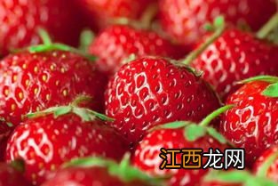 草莓膨大剂什么时候使用