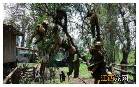 世界上最恐怖的“娃娃岛”，娃娃遍布于全岛，去过的人都被吓哭