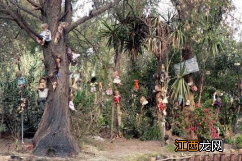 世界上最恐怖的“娃娃岛”，娃娃遍布于全岛，去过的人都被吓哭