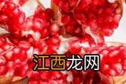 新鲜西梅可以多吃吗 一天吃了20个西梅没事吧