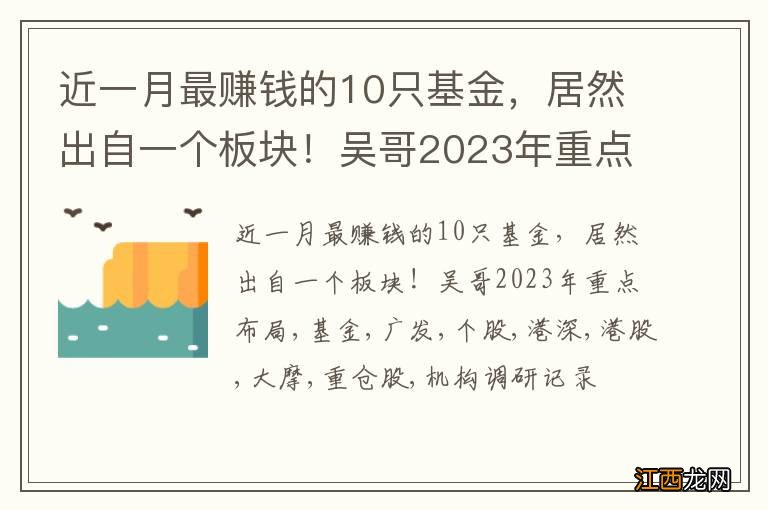 近一月最赚钱的10只基金，居然出自一个板块！吴哥2023年重点布局