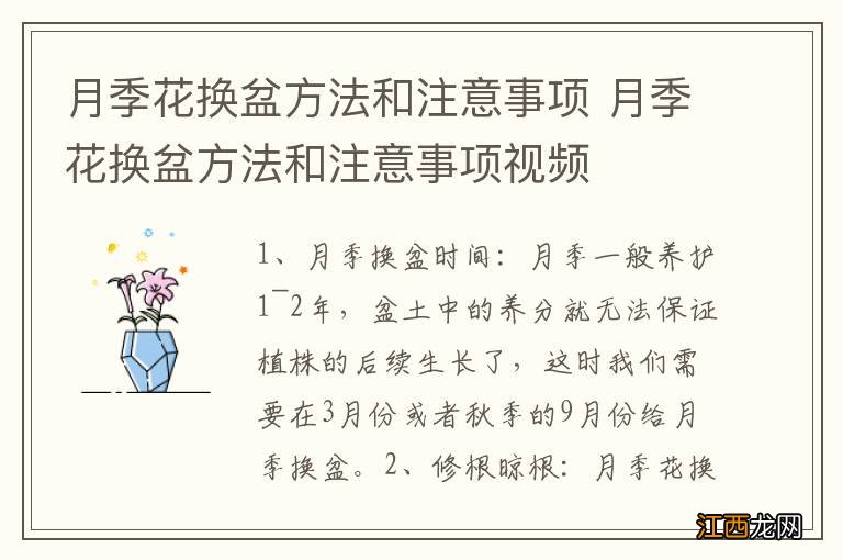 月季花换盆方法和注意事项 月季花换盆方法和注意事项视频