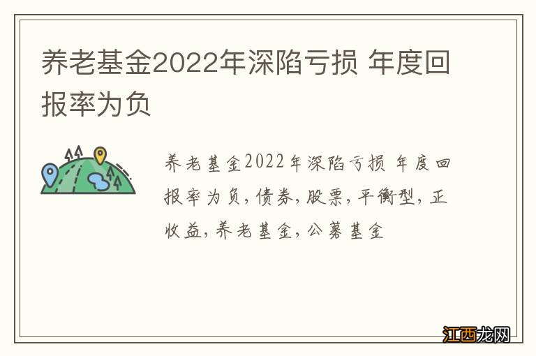 养老基金2022年深陷亏损 年度回报率为负