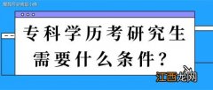 报考研究生需要哪些条件 有什么学历要求