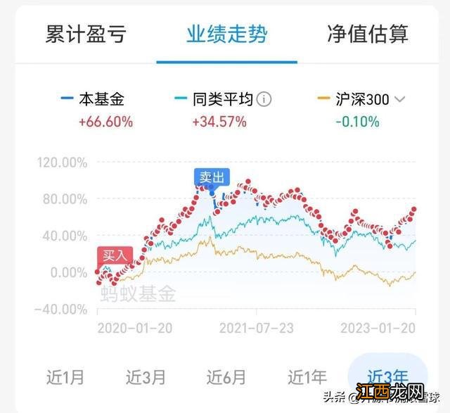 一只养了4年的基