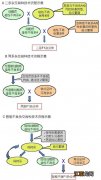 水稻三系杂交育种过程