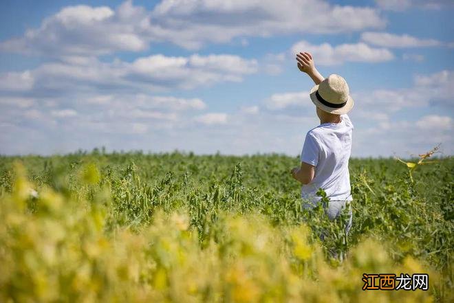 我为什么宁可花30万，也要把10岁的儿子培养成“普信男”？