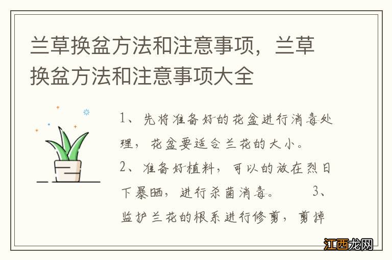 兰草换盆方法和注意事项，兰草换盆方法和注意事项大全