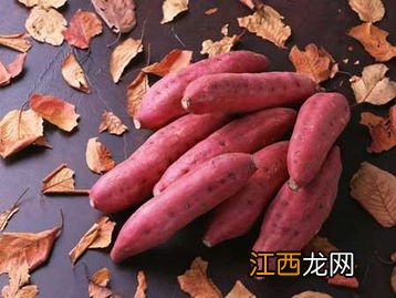 红薯又叫什么名字