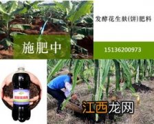 花生枯怎样发酵做肥料