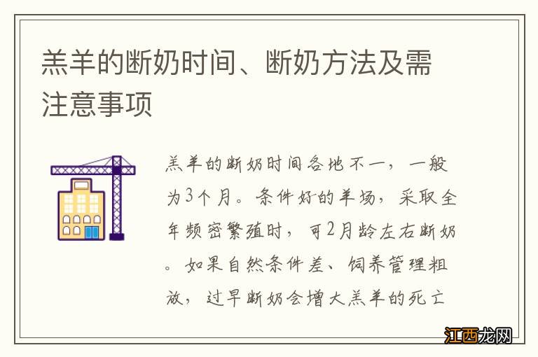 羔羊的断奶时间、断奶方法及需注意事项