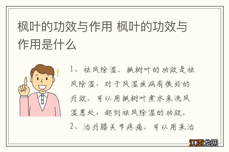 枫叶的功效与作用 枫叶的功效与作用是什么