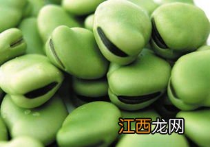 大豆和蚕豆的区别