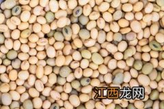 大豆和小豆的区别