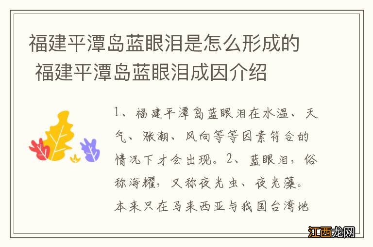 福建平潭岛蓝眼泪是怎么形成的 福建平潭岛蓝眼泪成因介绍