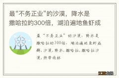 最“不务正业”的沙漠，降水是撒哈拉的300倍，湖泊遍地鱼虾成群