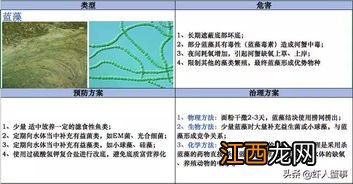 甲藻的处理方案
