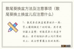 散尾葵换土换盆儿应注意什么 散尾葵换盆方法及注意事项