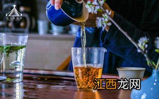 茶树白叶是什么原因