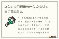 乌龟进家门预示着什么 乌龟进家里了象征什么