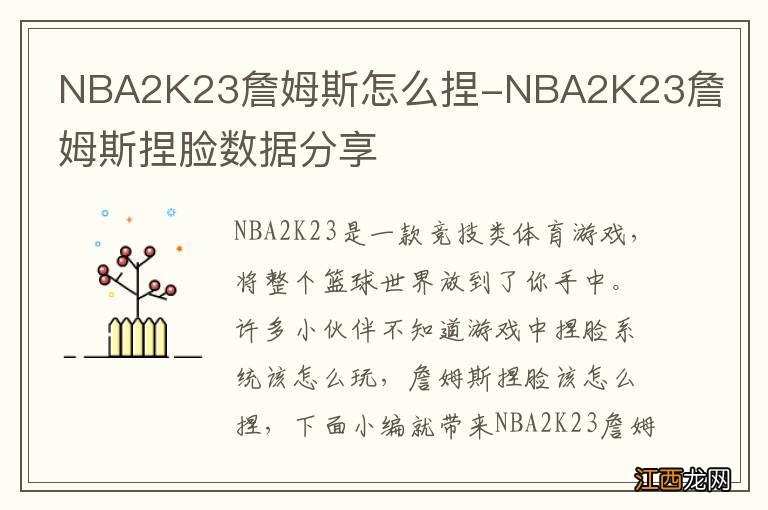 NBA2K23詹姆斯怎么捏-NBA2K23詹姆斯捏脸数据分享