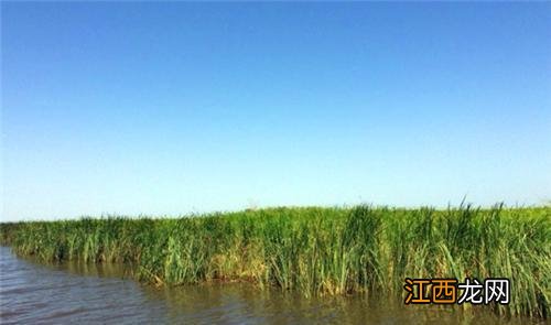 世界上最绝望的国家，全国仅靠一个湖养活，如今湖水却面临干涸