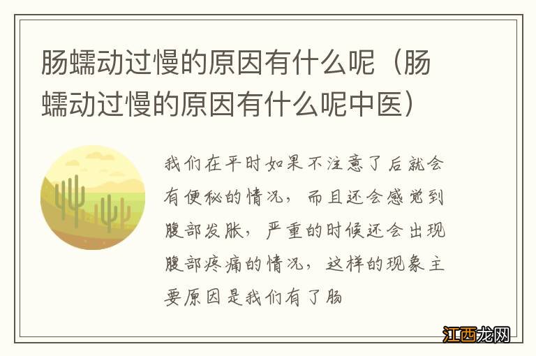 肠蠕动过慢的原因有什么呢中医 肠蠕动过慢的原因有什么呢