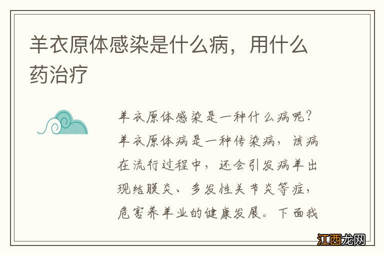 羊衣原体感染是什么病，用什么药治疗