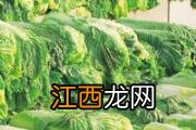 燕窝可以直接加鲜牛奶吗 燕窝能用牛奶直接炖吗