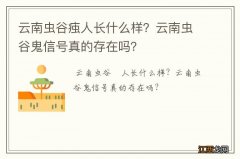 云南虫谷痋人长什么样？云南虫谷鬼信号真的存在吗？