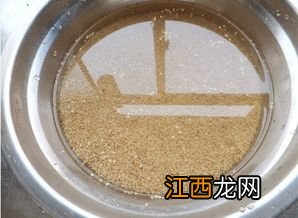 1斤芝麻出多少油